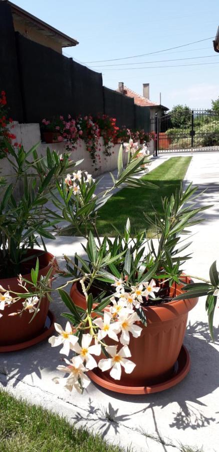 Guest House Ideal Sapareva Banya Εξωτερικό φωτογραφία